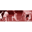 kc-banner-2-v-2.jpg