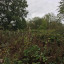 img-5772.jpg