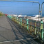 madeira-terraces-railings.jpg