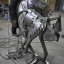 dsc-0253.jpeg