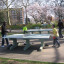 gunnersbury-park-table-tennis.jpg