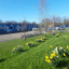 20190325-085333-resized.jpg