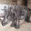 comp-ycua-7286.jpg