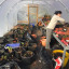 polytunnel-feb-19.jpg
