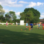 img-0445-1.jpg