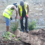 digging-2.png