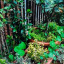 courtyard-4.jpg