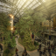 open-forest-view-01-final-16-bit-by-octurnal-1.jpg