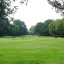 chiswick-back-common.jpg