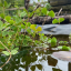 pond-1.jpg