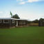 cricket-003-copy-2.jpg