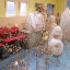 dscf-5567.jpg