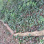 20160517-133630.jpg