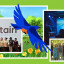 film-freeway-banner.jpg
