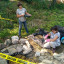 img-20200624-103344398-hdr.jpg