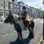 img-20240715115819.jpg