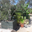 20190826-122704.jpg