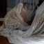 img-8613.jpg