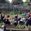 community-garden.jpg