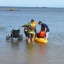 kayak-transfer.jpg