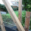 img-9786.jpg