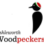wcc-image.png