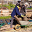 volunteers-5.jpg