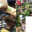 frends-spiral-2.png