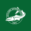 leyland-barracudas-white-on-green.png