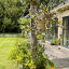 bees-under-loggia-2023-kingham-ps.jpg