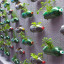 plastic-bottles-recycling-ideas-11.jpg