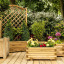 example-planters-for-the-peace-garden.jpg