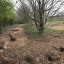 woodland-trail.jpg