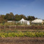 field-autumn-23.jpg