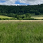 court-farm-resized.png