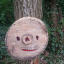 20160517-133645.jpg