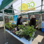2023-spring-fair.jpg