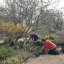 garden.jpg