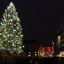 strasbourg-hurluberlue-photographies-l-2.jpg