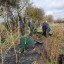 planting-of-black-poplar.jpg