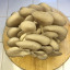 img-2731.jpeg