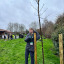 21-02-2024-east-marsh-planting-3.jpeg