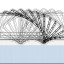 cody-bridge-motion-2.jpg