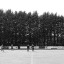 k-3-8290.jpg