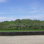 20210701-111106.jpg