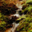 tiny-waterfall.jpg
