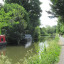 wildflowers-along-the-tow-path.jpg