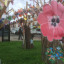 15-11-nov-poppy-img-4057.jpg