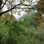 img-8857-2.jpg