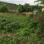img-0140.jpg
